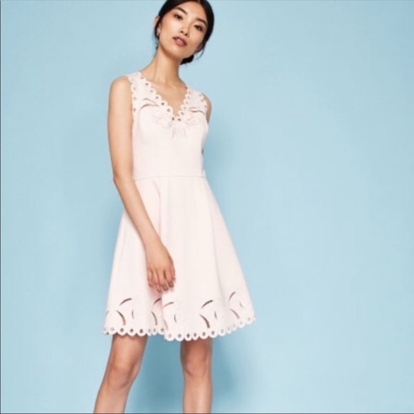 Ted Baker London Dresses & Skirts - Ted Baker Emalise Embroidered Pink Skater Dress